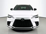 2025 Lexus RX