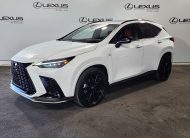 2025 Lexus NX