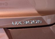 2025 Lexus UX