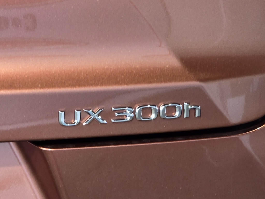 2025 Lexus UX