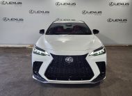2025 Lexus NX