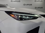 2025 Lexus NX