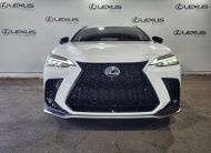 2025 Lexus NX