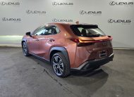 2025 Lexus UX