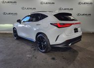 2025 Lexus NX