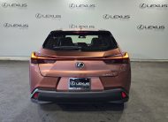 2025 Lexus UX