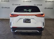 2025 Lexus NX